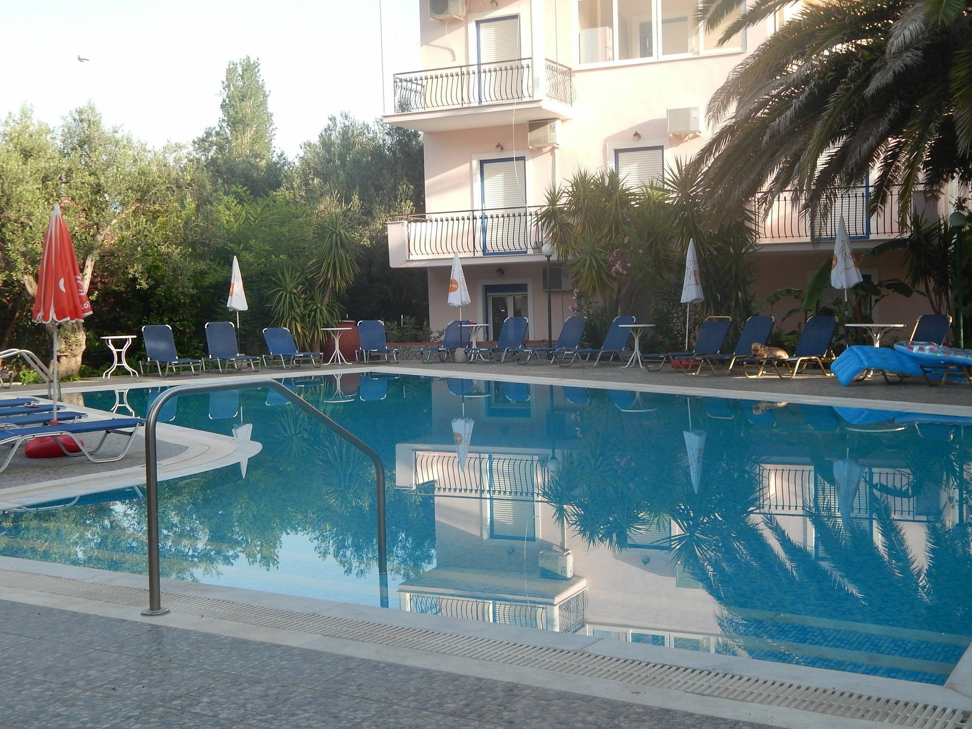 Anaxos Gardens Aparthotel Eksteriør bilde